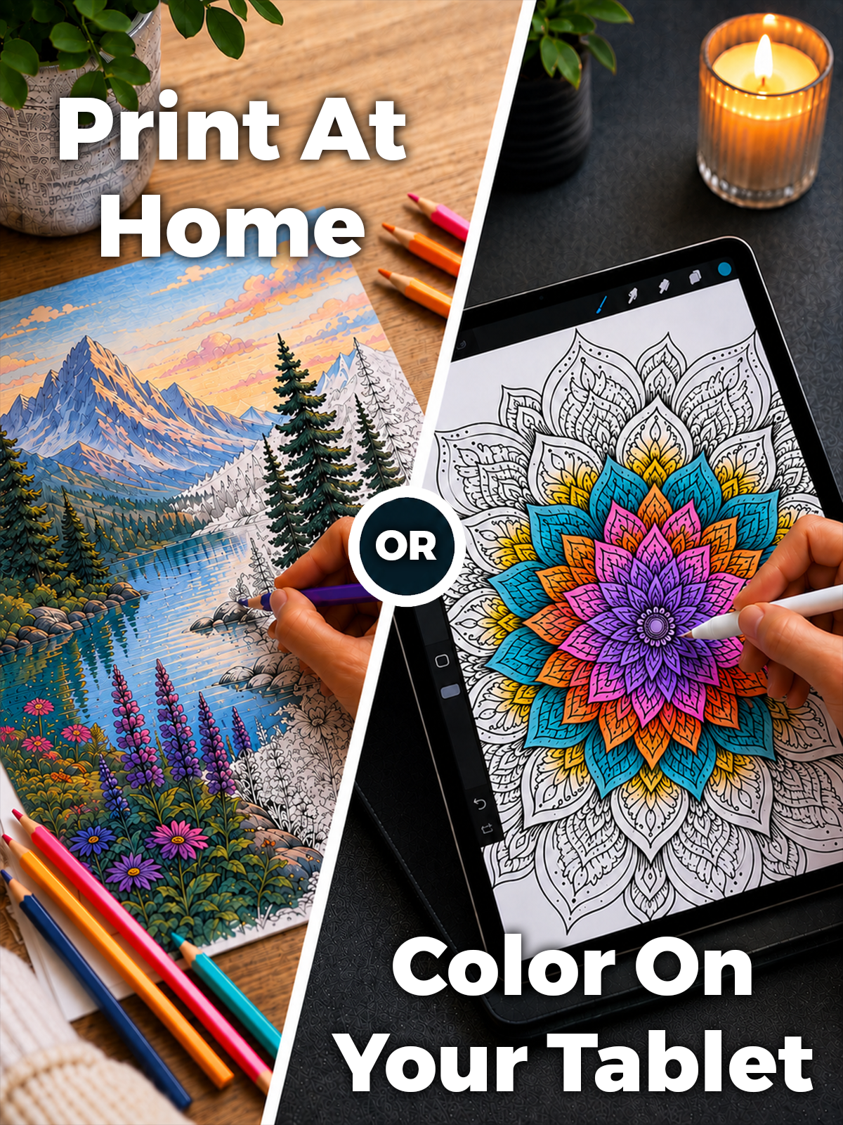 100,000+ Coloring Pages for Adults